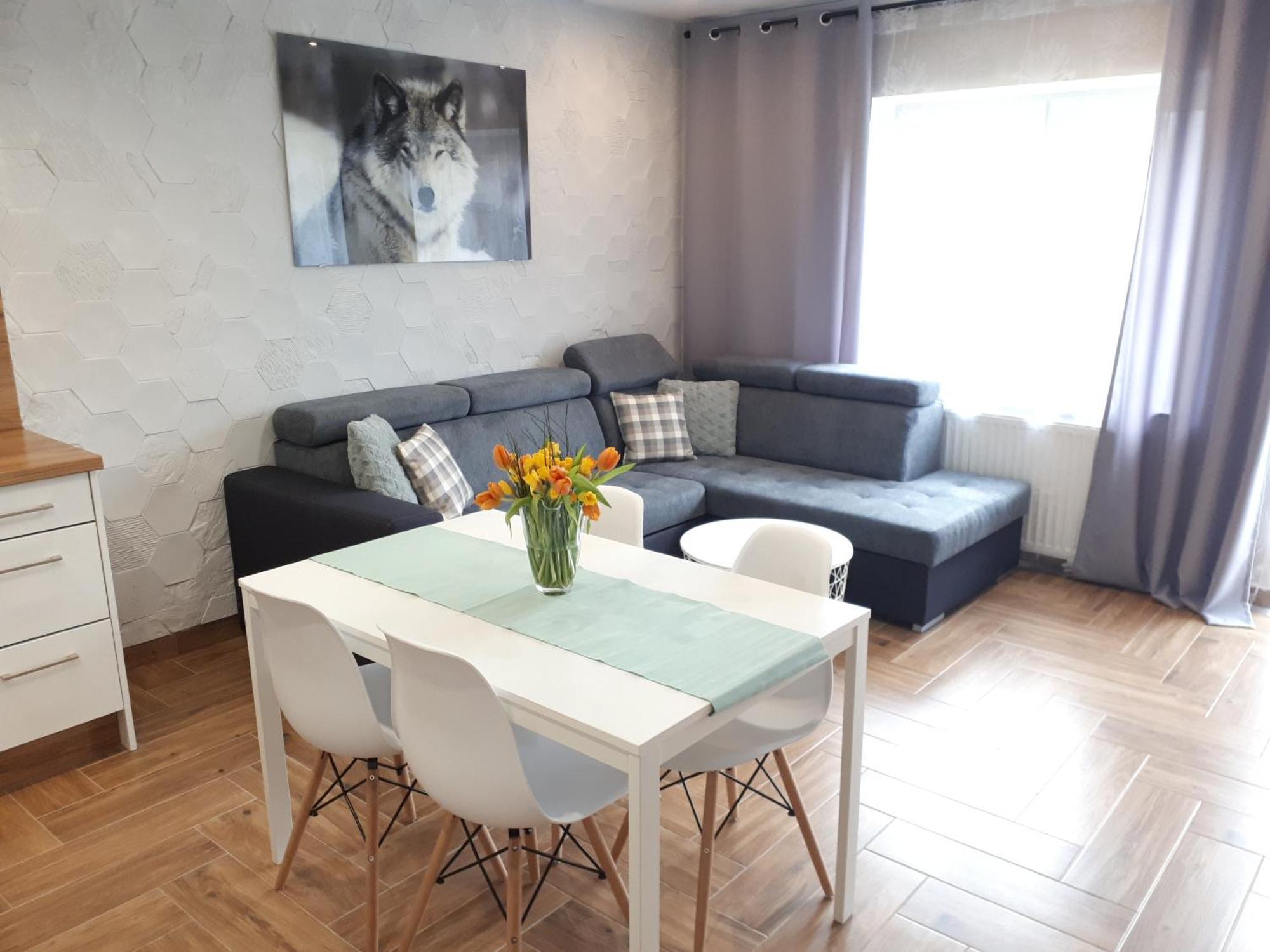 Apartamenty Pod Dzikowcem Boguszów-Gorce Exterior foto